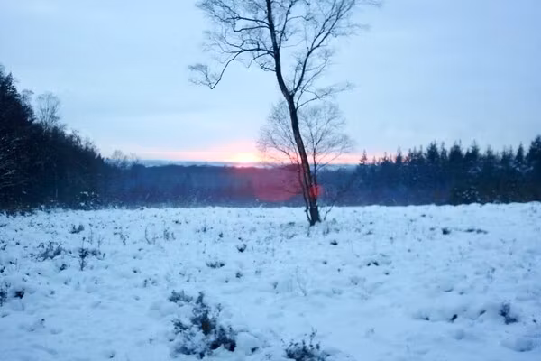 Vakantiepark de Tabaksschuur 2 in Elst - Foto 26 van 26