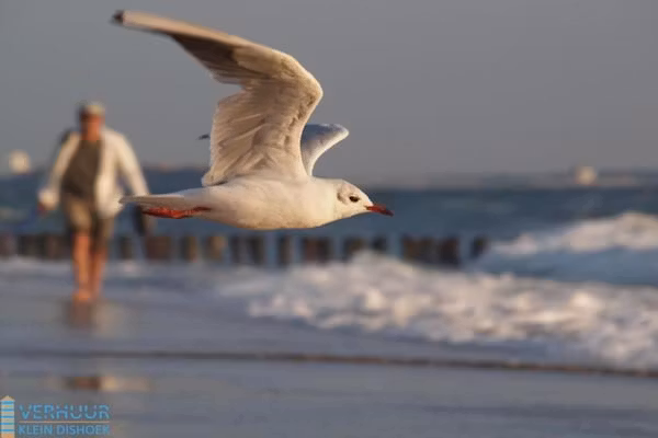 Noordzee Résidence Dishoek 4 in Koudekerke - Foto 40 van 40