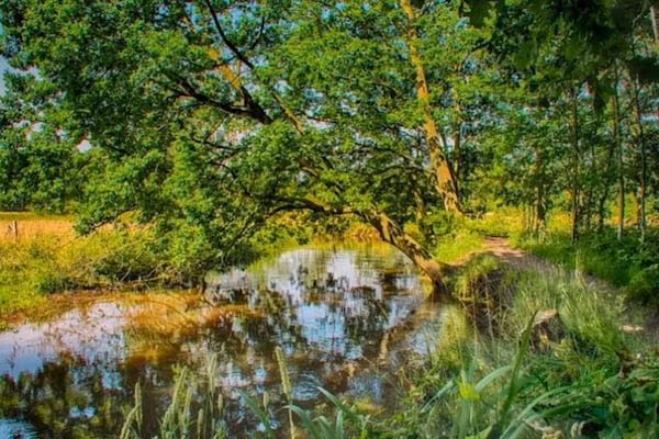 Panweg 14 in Maarheeze - Foto 41 van 41