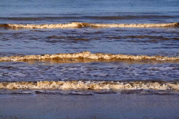 Groot Hof ter Zand in Zuidzande - Foto 40 van 40