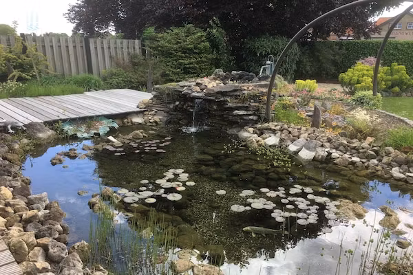 Groepswoning - De Ploeg in Groede - Foto 13 van 13