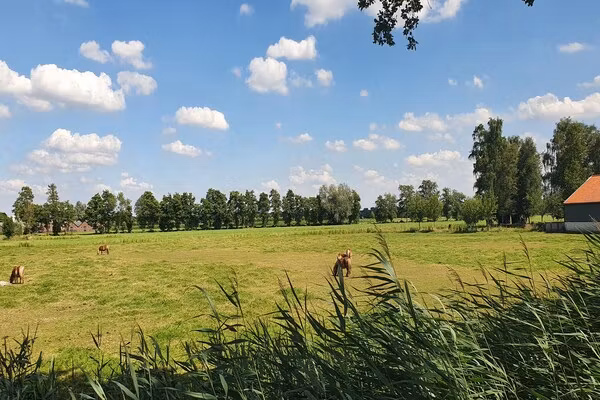 Landelijk Utrecht in Overberg - Foto 40 van 40