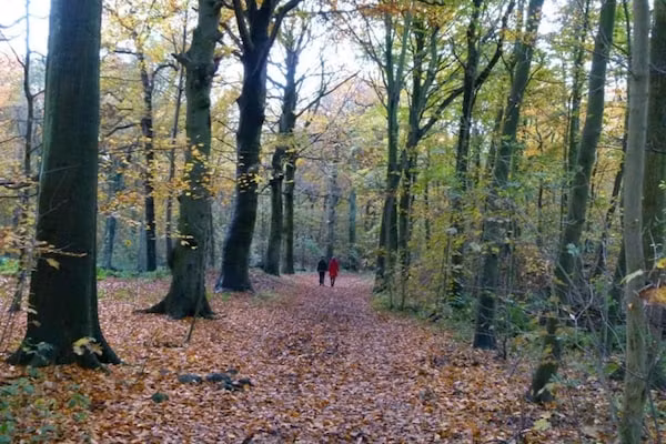 Strandpark Vlugtenburg 7 in 's-Gravenzande - Foto 39 van 39