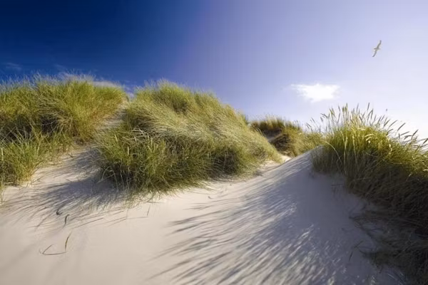 Bosch en Zee 3 in De Koog Texel - Foto 39 van 39