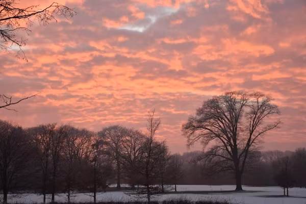 Vakantiecentrum 't Schuttenbelt 4 in Enter - Foto 40 van 40