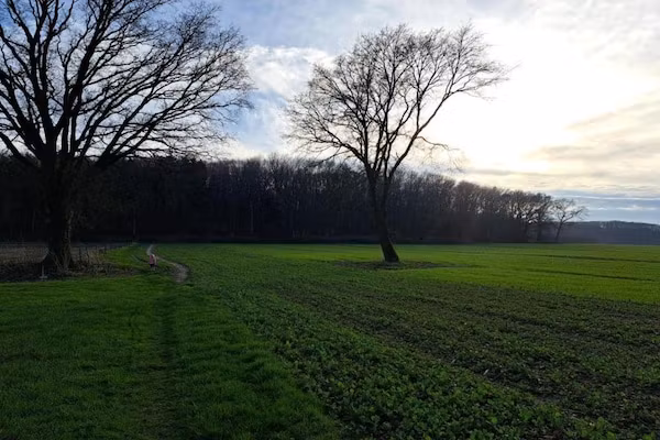 Villapark Ehzerburg 2 in Almen - Foto 40 van 40