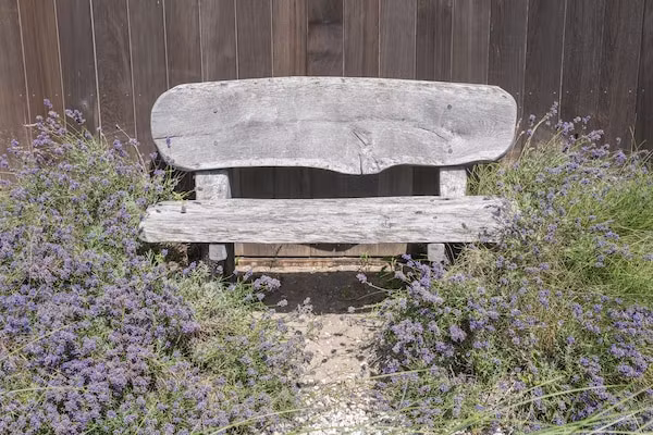 Duinvilla aan het Meer in Egmond aan den Hoef - Foto 40 van 40