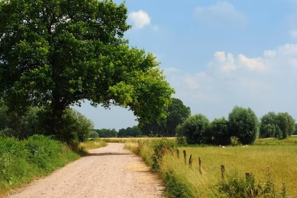 Vakantiepark De Lochemse Berg 2 in Lochem - Foto 40 van 40