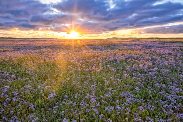 So What 21 in De Koog Texel - Foto 31 van 31