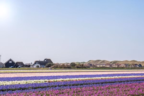 Resort Callantsoog 2 in Callantsoog - Foto 40 van 40