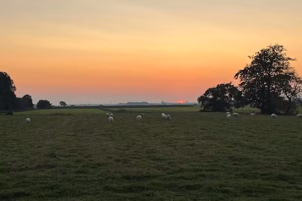 Wadden Festijn in Paesens - Foto 40 van 40