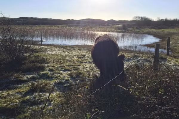 Kustpark Texel 14 in De Koog - Foto 40 van 40