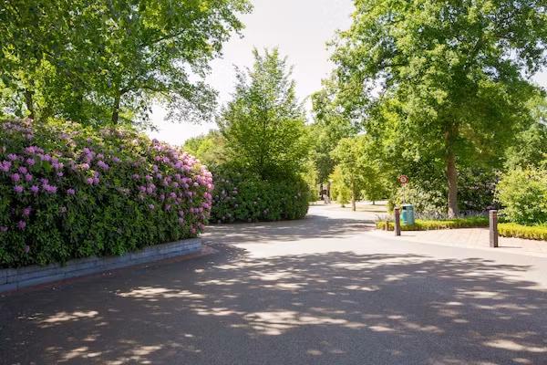 Vakantiepark Latour 1 in Oirschot - Foto 40 van 40