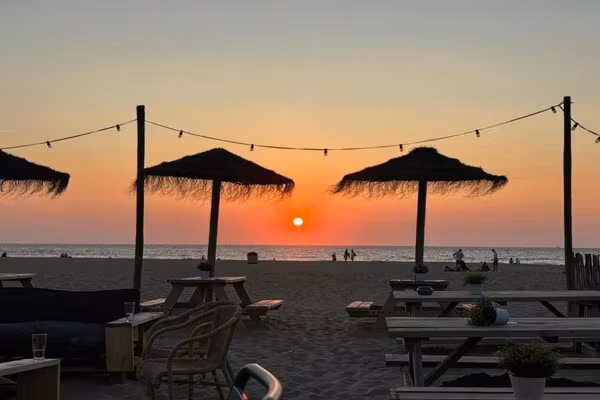 Lepelblad 7 in Nieuwvlietbad - Foto 42 van 42