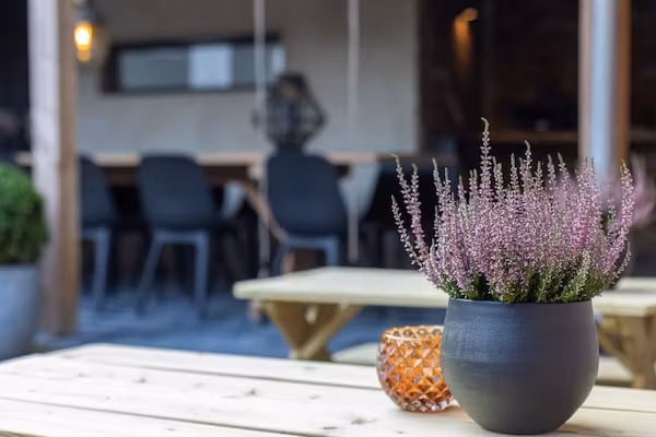 'Herberg De Waard van Ternaard' in Ternaard - Foto 40 van 40