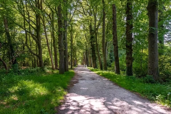 Resort de Parel 6 in Zeewolde - Foto 40 van 40