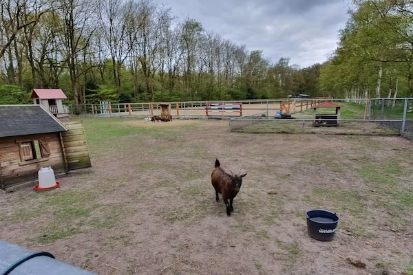 Elperhof Veldlodge in Schoonloo - Foto 18 van 18