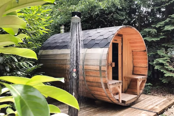 Dutch Cabin Houses C65 in Rheezerveen - Foto 1 van 20