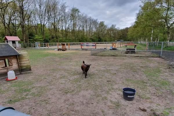 Elperhof Leberenlodge in Schoonloo - Foto 22 van 22