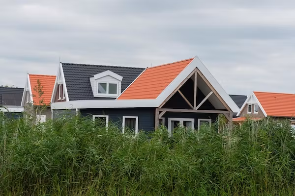 Rietzanger nr 134 in Zuid-Holland - Foto 1 van 38