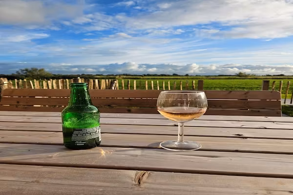 Friese Villa 8 in Leons in Leons - Foto 40 van 40