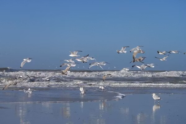 32002 in PP Julianadorp aan Zee - Foto 21 van 21