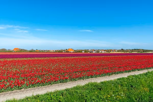 De Buitenplaats 72 in Callantsoog - Foto 25 van 25