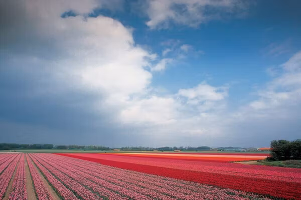 7118 in Egmond (Egmond) - Foto 24 van 24