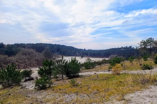 Cosy Hideout in Dirkshorn - Foto 40 van 40