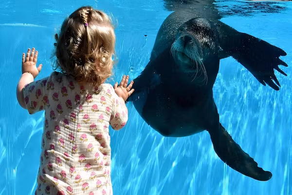 Scheldeveste 129 Schelde de luxe Breskens in Breskens - Foto 26 van 26