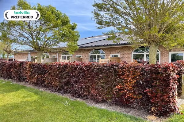 Het Platte Putje - Huisdier - nr1 in Groede - Foto 1 van 13