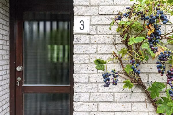 De Nachtegaal - Veerse Meer in Kamperland - Foto 40 van 40