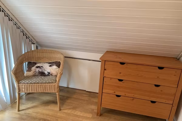 Belkmerduinen 03 in Sint Maartenszee - Foto 29 van 29