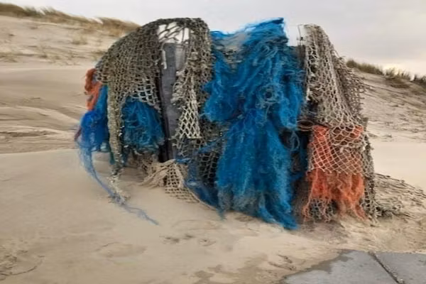 De Schelp 24 in Sint Maartenszee - Foto 25 van 25