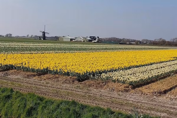 Eureka 015 - "Kalliste" in Sint Maartenszee - Foto 33 van 33