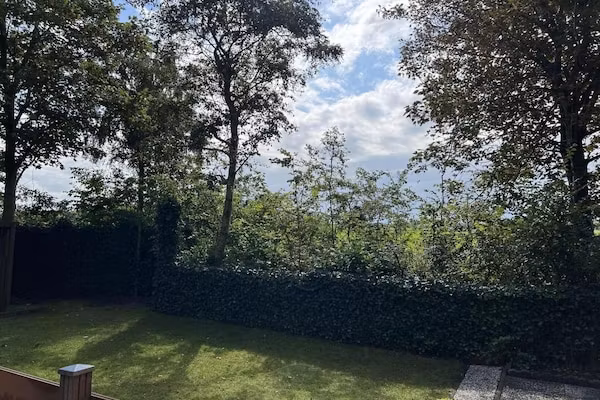 Campanula 208 in Sint Maartenszee - Foto 32 van 32