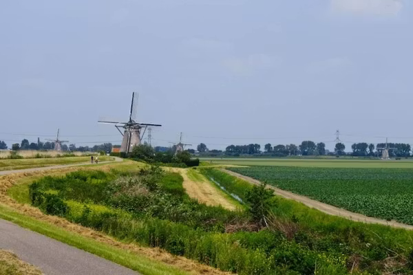 Gelijkvloerse vakantiewoning 6p huisje 57 in Zevenhuizen - Foto 40 van 40