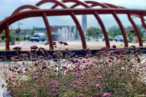 Beach 15-6 in Petten - Foto 40 van 40
