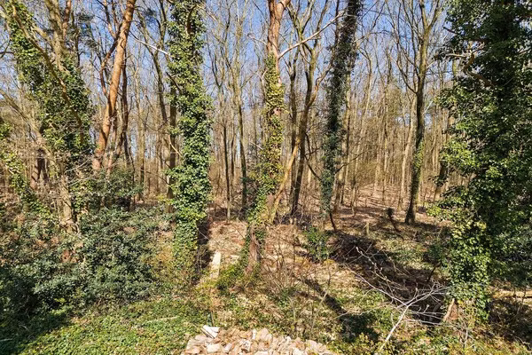 Ermerzand Retreat in Erm - Foto 30 van 30