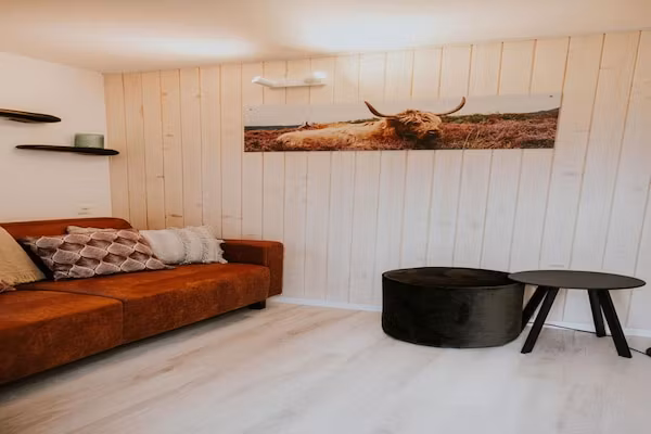 Tiny house XL | 2-4 persoons in Balkbrug - Foto 2 van 39