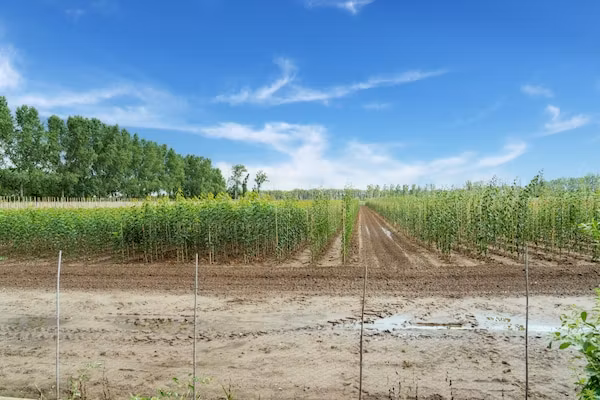 Landgoed de Gun in Swolgen - Foto 40 van 40