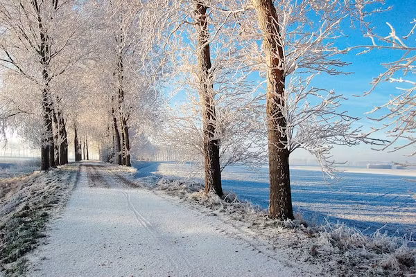 Aquadelta 18 in Bruinisse - Foto 40 van 40