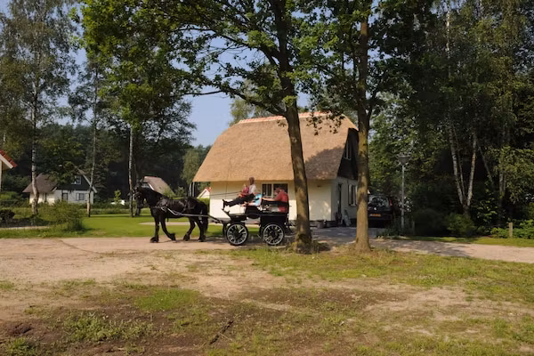 Wildeman in Heeten - Foto 34 van 34