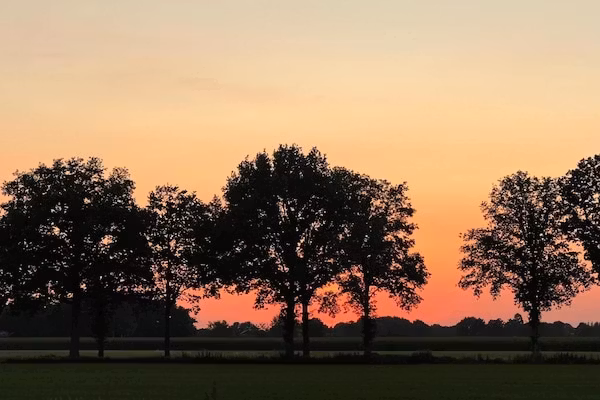 Vakantiepark Horsetellerie 1 in Hardenberg (rheezerveen) - Foto 42 van 42