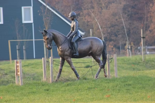 Vakantiepark Horsetellerie 4 in Hardenberg (rheezerveen) - Foto 40 van 40