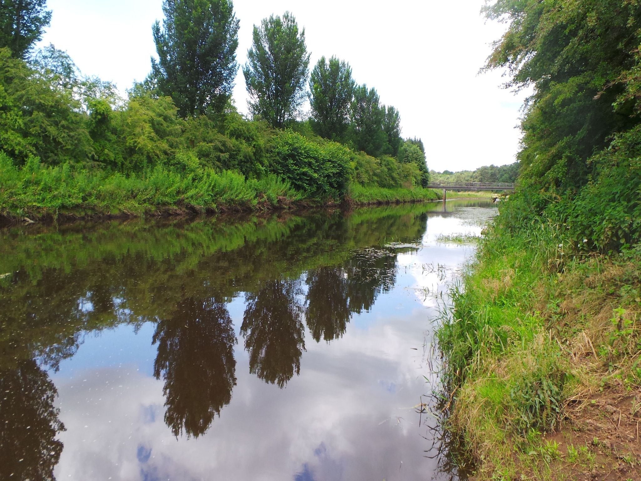 De omgeving van Buitenplaats Berg en Bos nummer 15 in Lemele