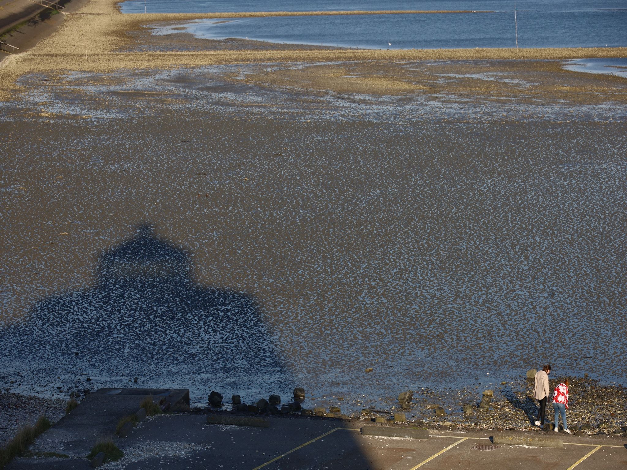 Casa Anna in Scherpenisse - Foto 31 van 40