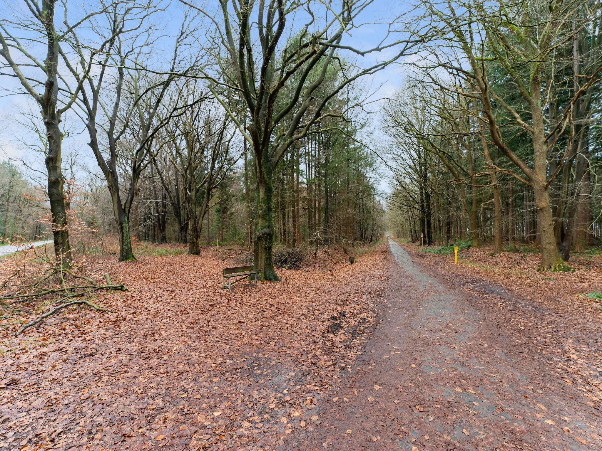 De tuin van Boshuis De Klim in Norg