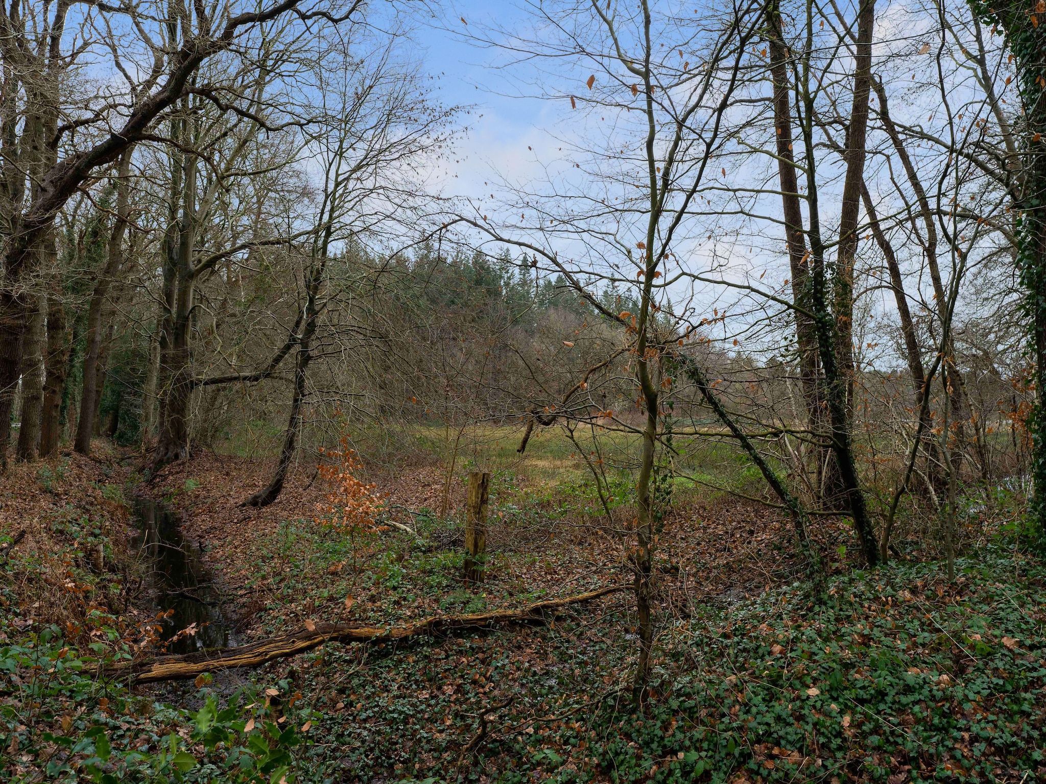 De tuin van Boshuis De Klim in Norg