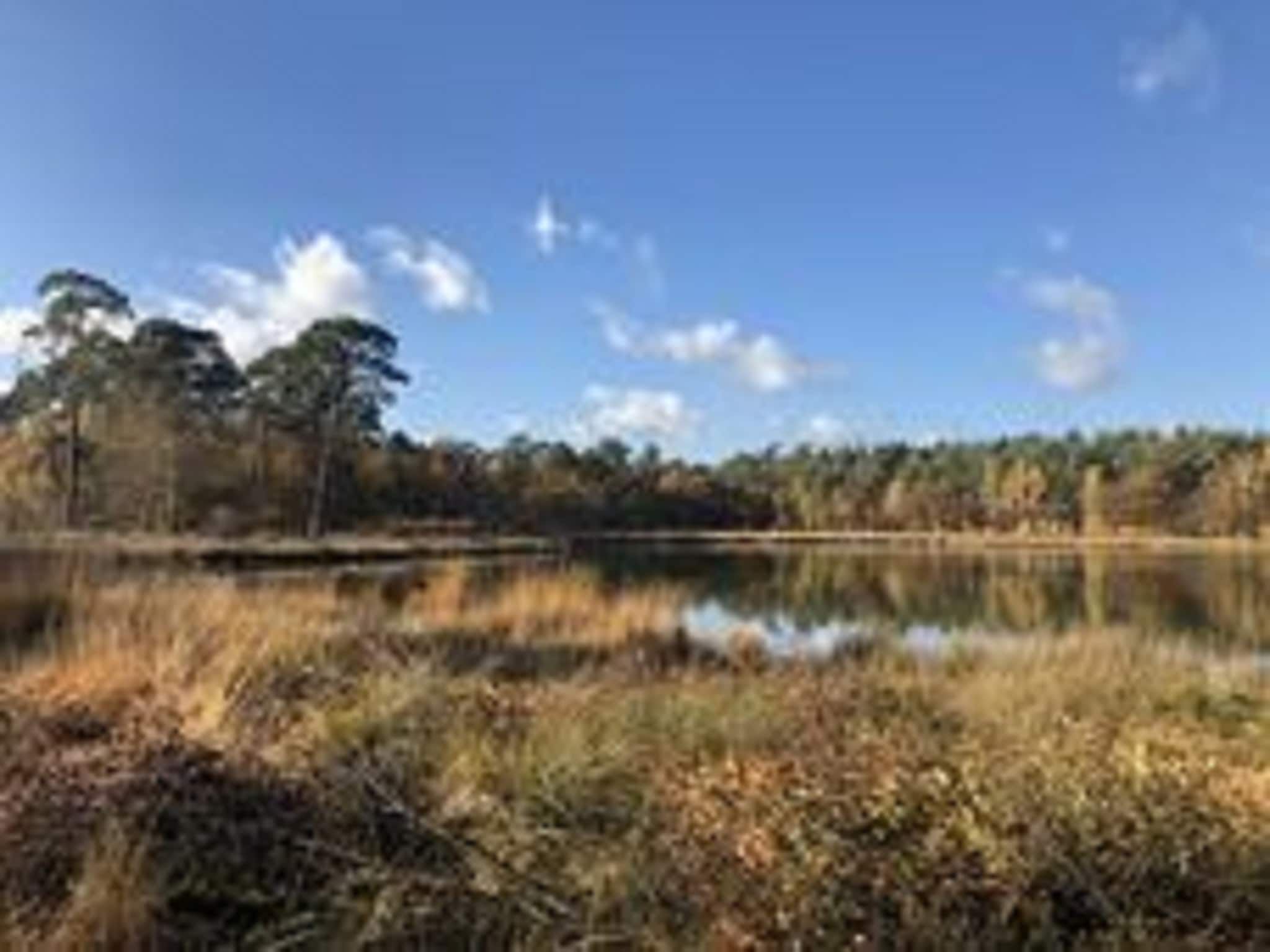 De omgeving van Boerderij Dwingelderveld in Dwingeloo